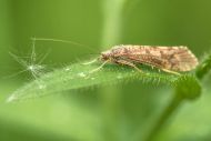 lr5_Kuhsinggraben_2015.05.06-4719.jpg