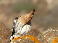 P1050842_bearbeitet-1.jpg